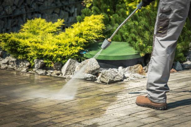 Best Gutter Cleaning  in Ogdensburg, NY