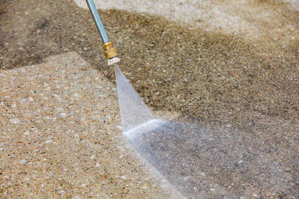 Animal Enclosure Cleaning in Ogdensburg, NY