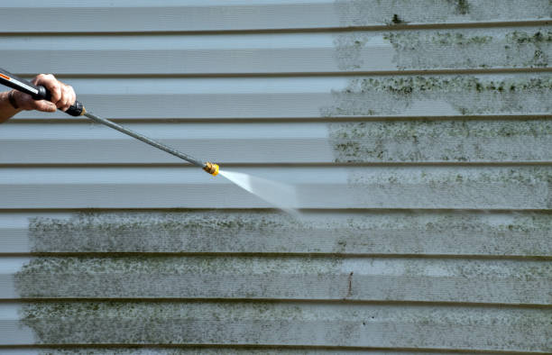 Trusted Ogdensburg, NY Pressure Washing Services Experts